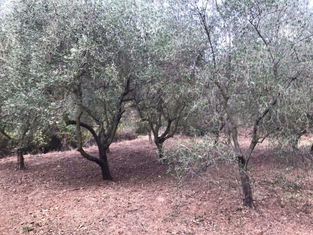 Hébergement de vacances Casa Dei Templari